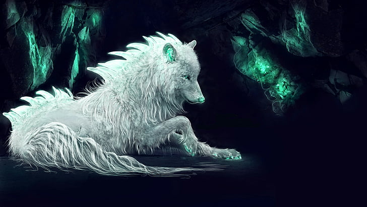 Hd Wallpaper Darkness Wolf White Wolf Fantasy Art Imagination