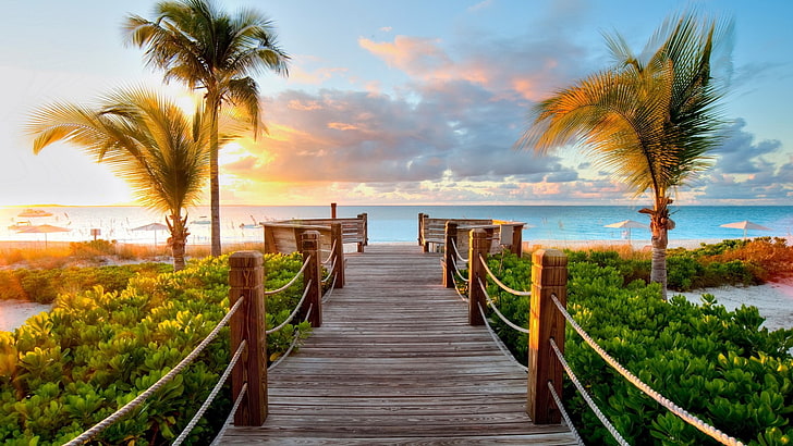 770+ Tropical HD Wallpapers and Backgrounds