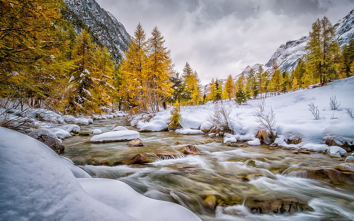 Val Bever, Engadin, Schweiz, winter, snow, trees, river, white, HD wallpaper