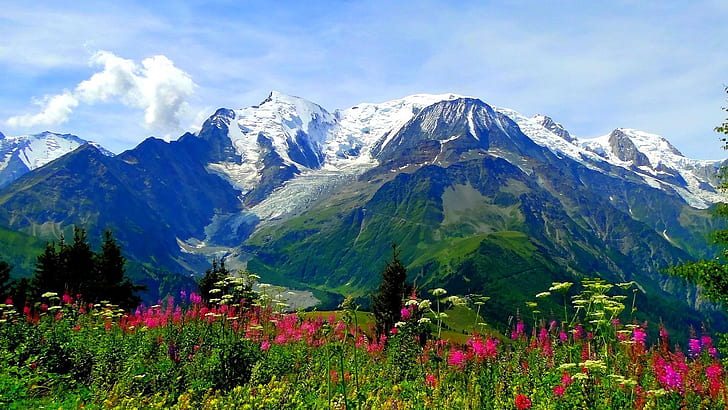 Valley Of Flowers National Park Trek In Uttarakhand India Meadow Alpine Flowers Mountains With Snow Peaks Landscape Hd Desktop Backgrounds 1920×1080