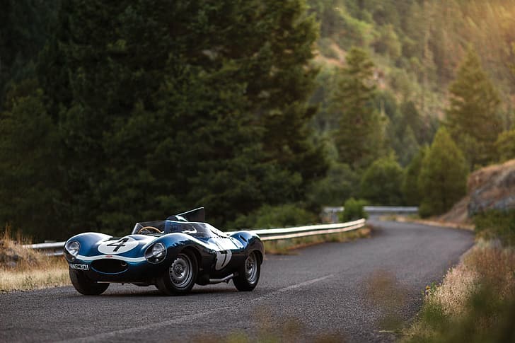 Road, Race Car, Forest, Jaguar D-Type, HD wallpaper