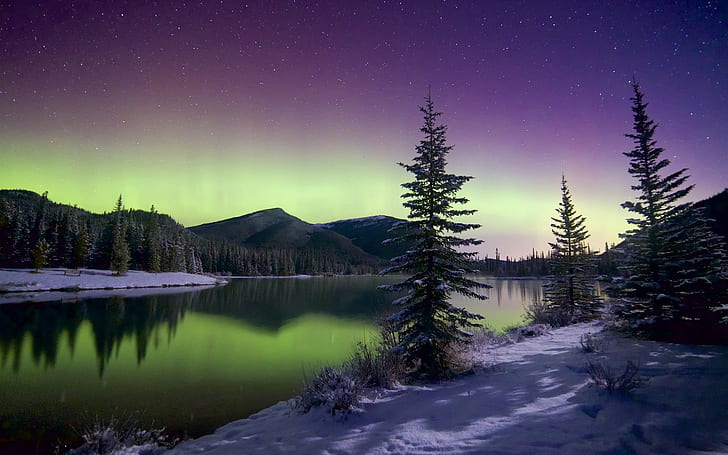 Beautiful Northern lights, mountains, trees, sky, stars, winter, snow, lake, HD wallpaper