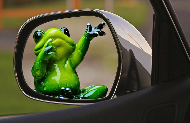 HD wallpaper: cute, drive away, farewell, frog, funny, leave, rear mirror |  Wallpaper Flare