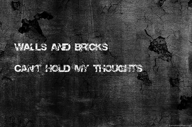 texture, wall, textured, typography, quote, HD wallpaper