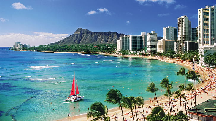 Hawaii City Beach Desktop Wallpaper ХД 2560×1440