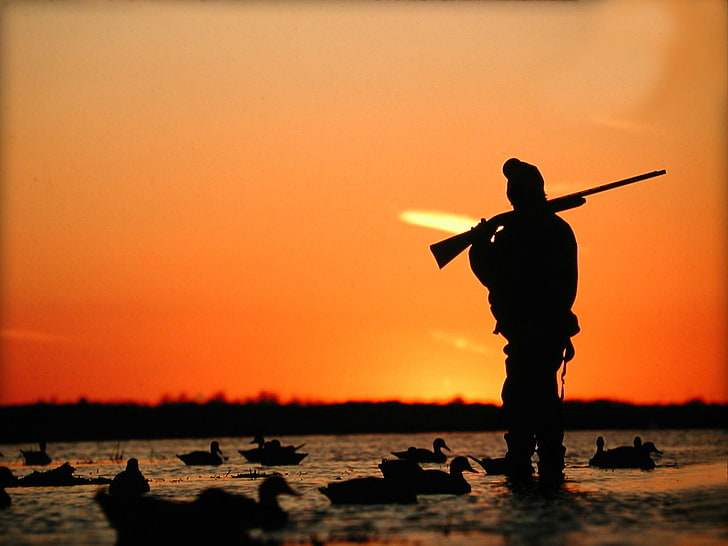 HD wallpaper: Ducks Hunting, silhouette