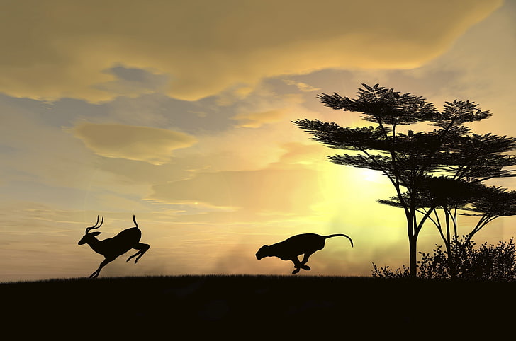 silhouette of gazelle, the sun, chase, predator, hunting, ROE, HD wallpaper