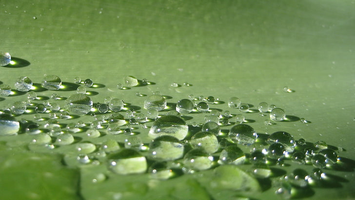 clear water drops, macro, green, green color, close-up, no people, HD wallpaper
