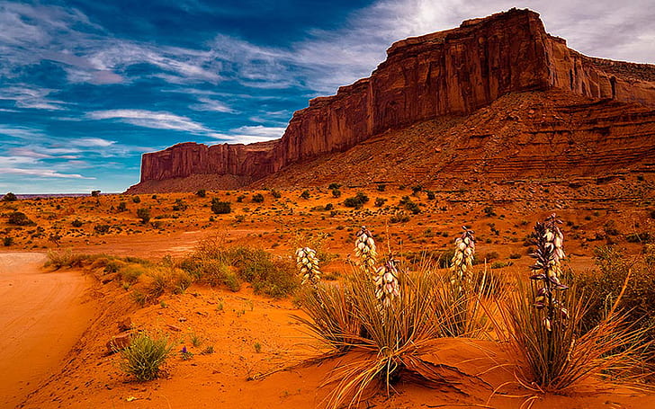 Sedona Arizona Red Desert Area Of Rocks And Sand Usa Desktop Hd Wallpaper 1920×1200