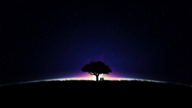 silhouette of tree, artwork, anime, sky, stars, trees, grass
