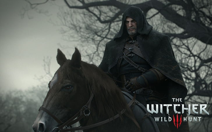 The Witcher Wild Hunt graphic wallpaper, The Witcher 3: Wild Hunt