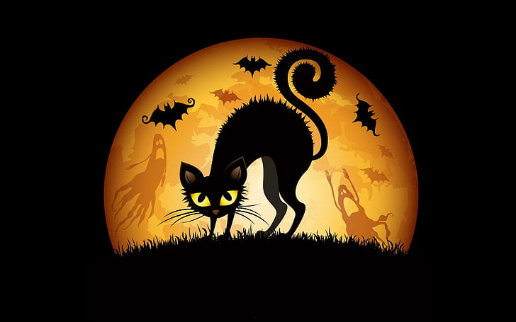 Halloween Cats Bats, black cat, creative and graphics, HD wallpaper