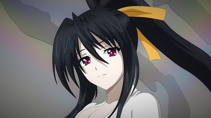 black-haired woman anime character wallpaper, High School DxD, HD wallpaper