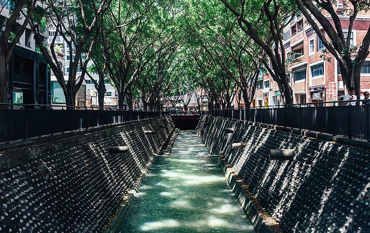 canal between trees, Japan, cityscape, built structure, architecture, HD wallpaper
