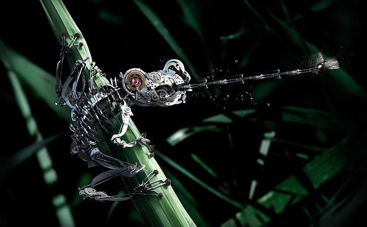 gray robot frog illustration, mech, close-up, focus on foreground, HD wallpaper