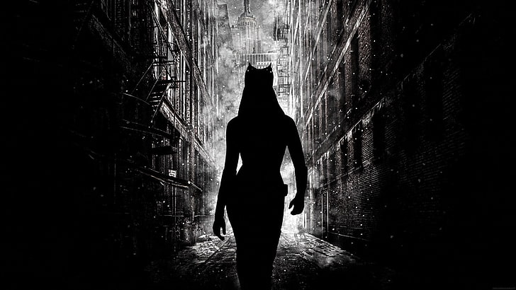 silhouette of woman, movies, The Dark Knight Rises, Catwoman