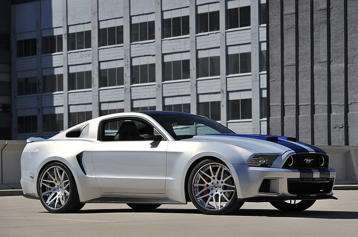 grey Ford Mustang, silver, car, blue, silver cars, vehicle, motor vehicle