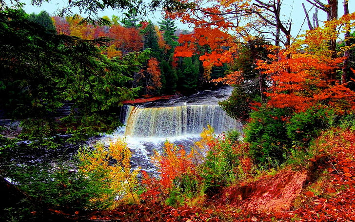 Autumn River Falls, forest, a waterfall, trees, nature and landscapes, HD wallpaper