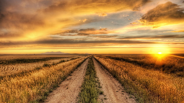 country, road, sunset, field, pathway, sky, landscape, environment