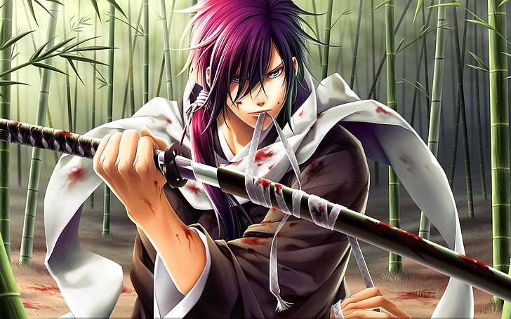 purple haired male anime character, Hakuouki Shinsengumi Kitan, HD wallpaper