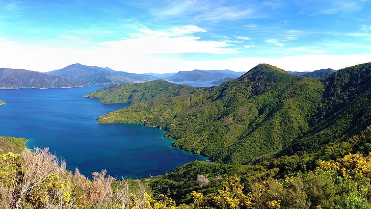 Queen Charlotte Track Marlborough Sounds New Zealand, beauty in nature