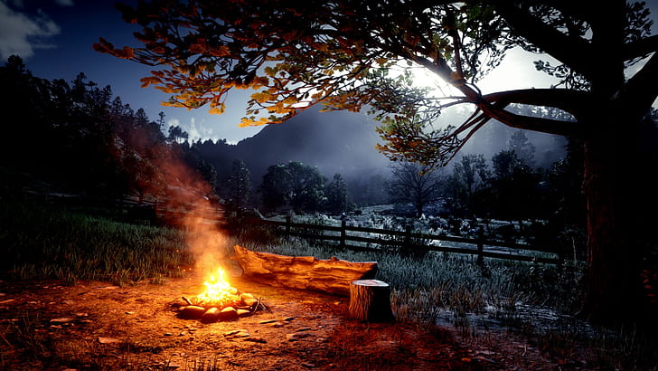 Red Dead Redemption 2, nature, fire