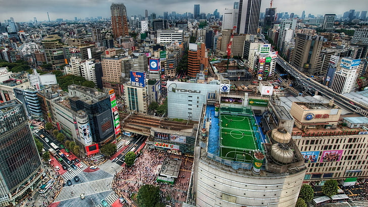 aerial view of cityscape, building, Tokyo, Japan, rooftops, Soccer Field