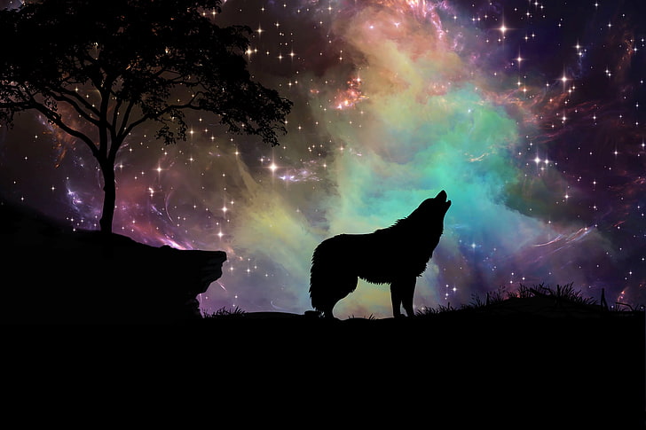 howling wolf illustration, starry sky, silhouette, art, nature