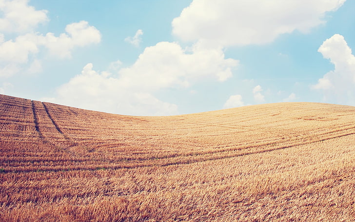 brown grass field, landscape, sky, clouds, cloud - sky, tranquil scene, HD wallpaper