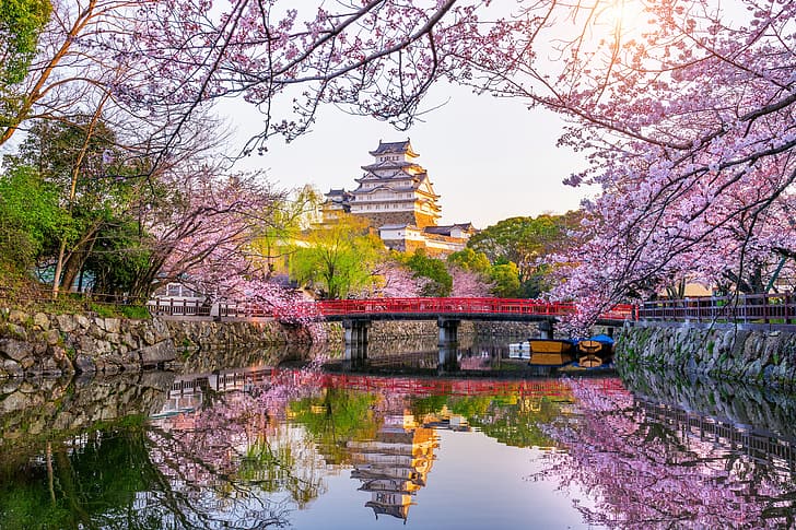 Park, spring, Japan, Sakura, flowering, blossom, cherry, castle, HD wallpaper