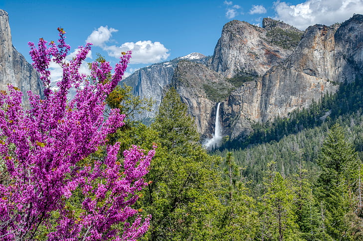 trees, mountains, waterfall, CA, California, Yosemite National Park, HD wallpaper