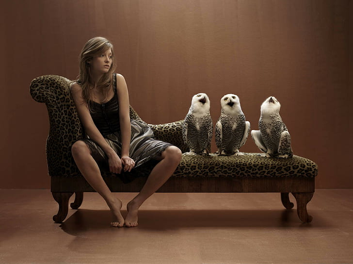 owl, sitting, women, full length, indoors, fashion, young adult