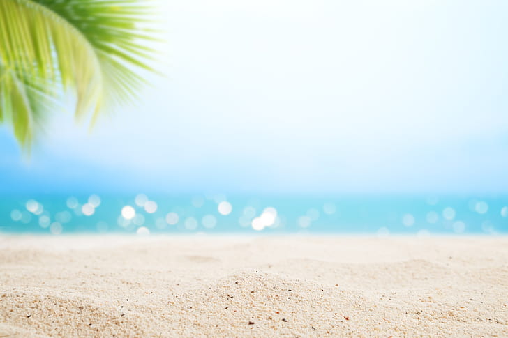 sand, sea, wave, beach, summer, the sky, palm trees, shore, HD wallpaper