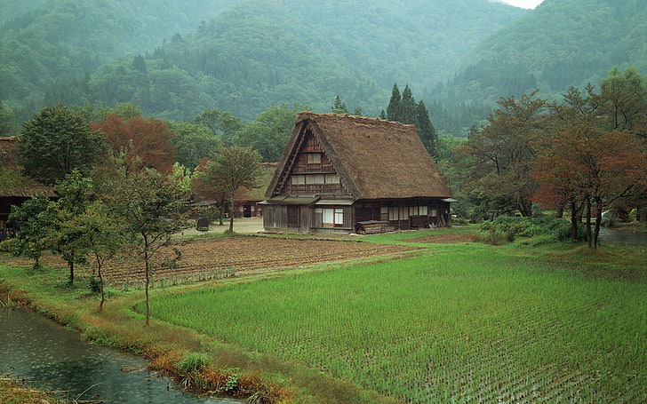 brown house, landscape, Japan, plants, tree, architecture, built structure