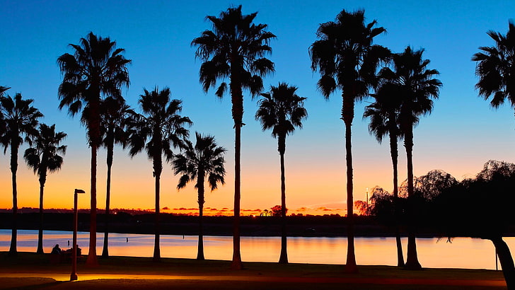 sunset, palm trees, CA, USA, San Diego, Mission Bay, HD wallpaper