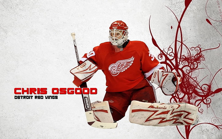 20+ Detroit Red Wings HD Wallpapers and Backgrounds