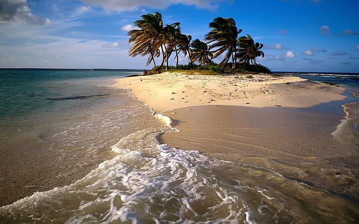 Island Tropical Beach Ocean Palm Trees HD, nature