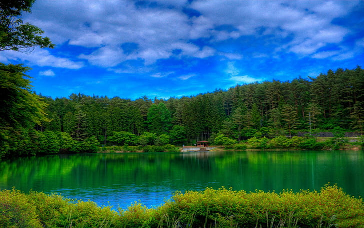 *** Beautiful Lskape ***, green lake between green pine trees, HD wallpaper