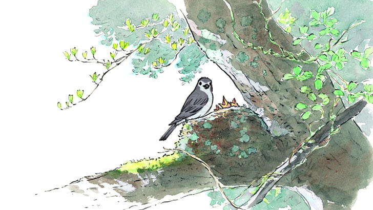 black and white bird on tree illustration, The Tale of Princess Kaguya, HD wallpaper