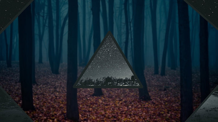 trees, stars, space, blurred, nature, autumn, no people, focus on foreground, HD wallpaper