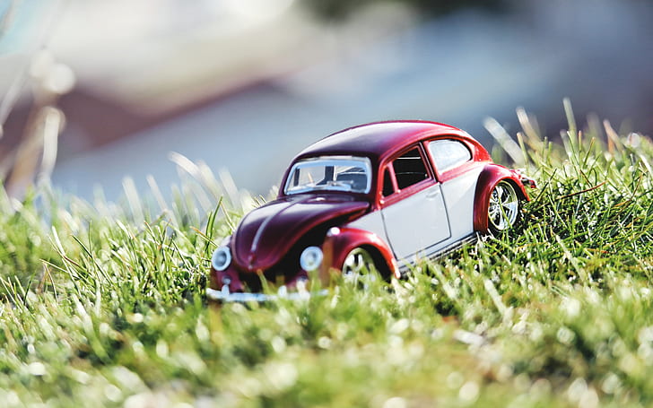 nature, summer, toy car, car, grass, sunlight, small, HD wallpaper