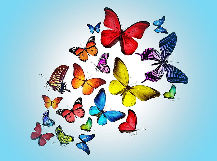 Butterflies, assorted-color butterflies wallpaper, Animals, Insects, HD wallpaper