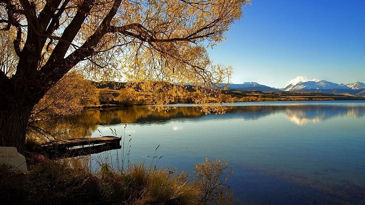 lake alexandrina, lone tree, new zealand, romantic, calmness, HD wallpaper