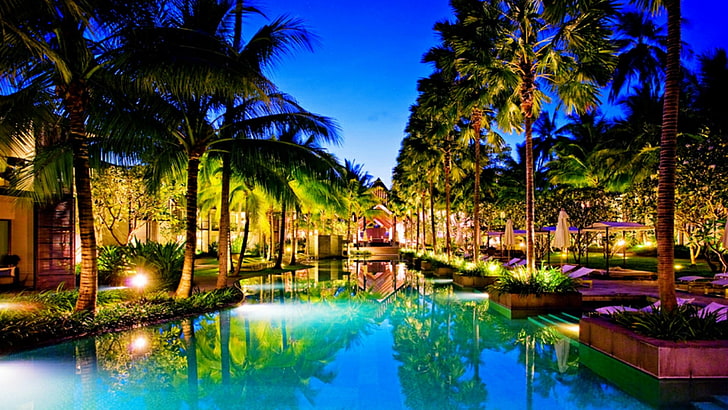 reflection, resort, hotels, water, palm tree, palms, swimming pool, HD wallpaper