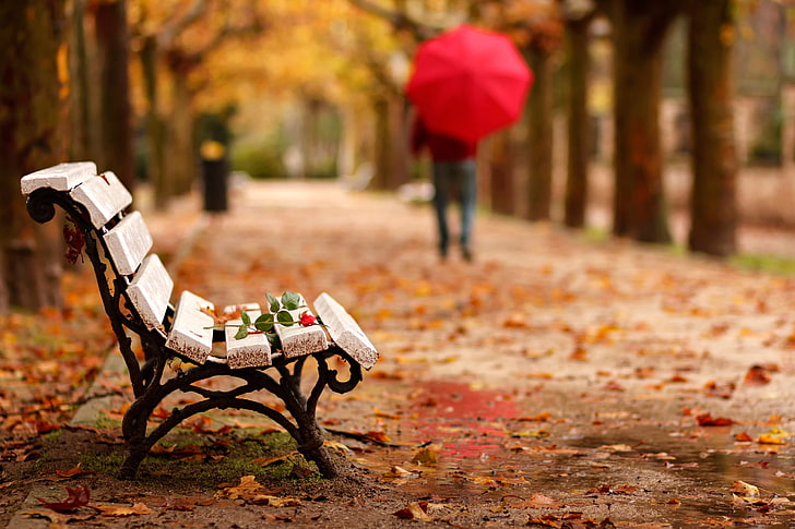 HD wallpaper: brown wooden bench, autumn, flower, Park, rose, people,  umbrella | Wallpaper Flare
