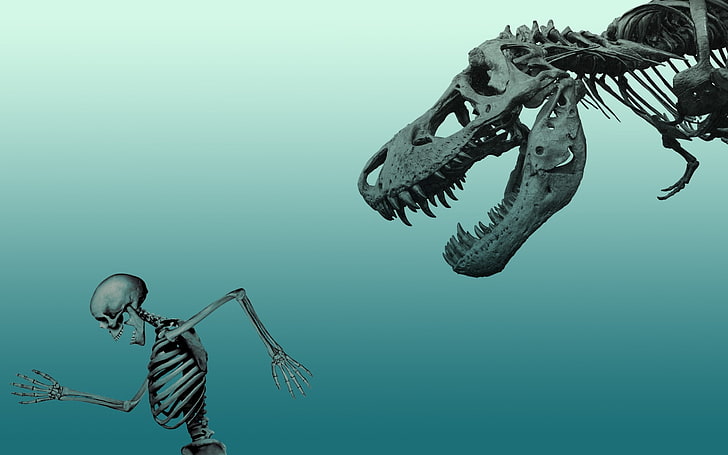 dinosaur and human skeleton wallpaper, dinosaurs, animal, no people, HD wallpaper