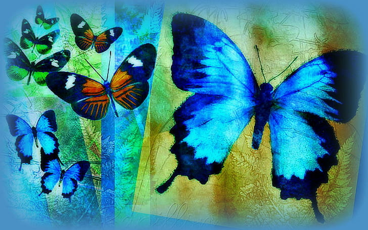 HD wallpaper: ?Bleu Papillon?, lovely, paintings, cool, creative-pre--made  | Wallpaper Flare