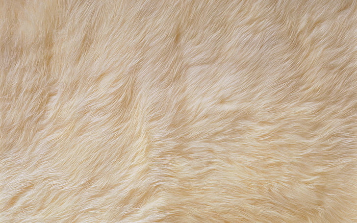 fur, bright, pet, rug, backgrounds, pattern, animal, brown, HD wallpaper