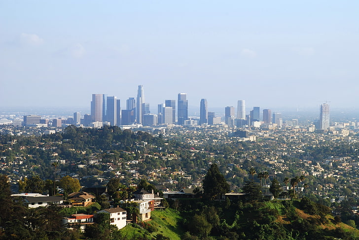 green trees, Park, home, skyscrapers, megapolis, Los Angeles, HD wallpaper