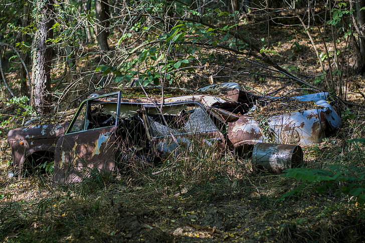 old car, wildflowers, Vintage car, nature, plant, land, tree, HD wallpaper